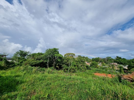 Outlined Approved Point Fortin Land For Sale
