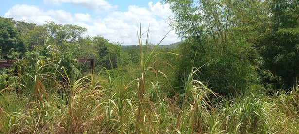 Morne Cabrite Road, Toco Land for Sale