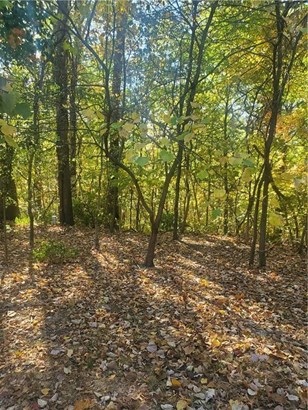 Lots - Bella Vista, AR