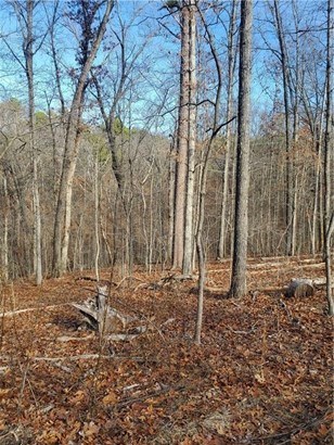 Lots - Bella Vista, AR