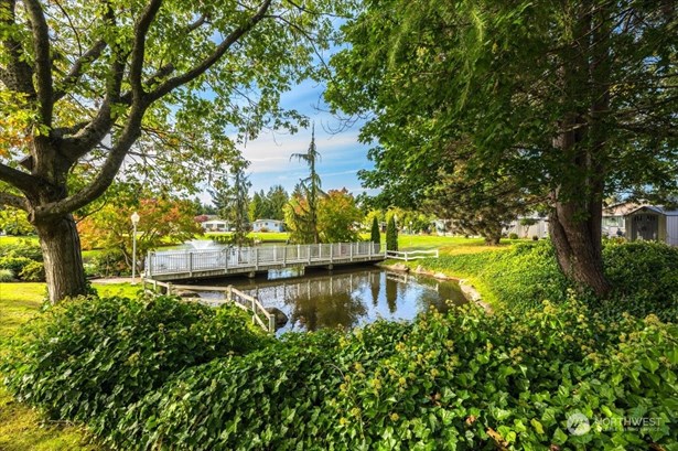 Watch nature from your back deck