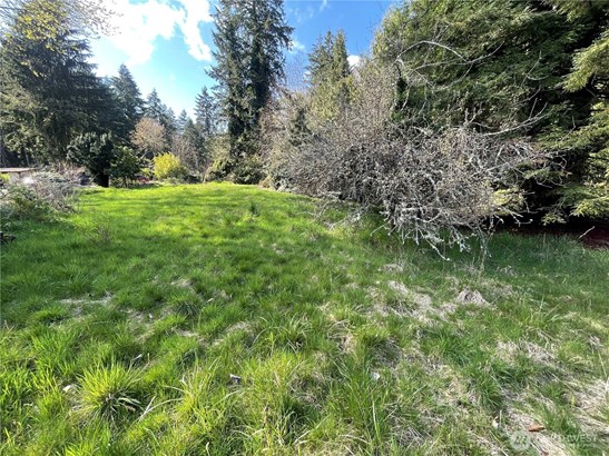 Nestled near Vashons Magnolia Beach this .48-acre parcel has a lot to offer.