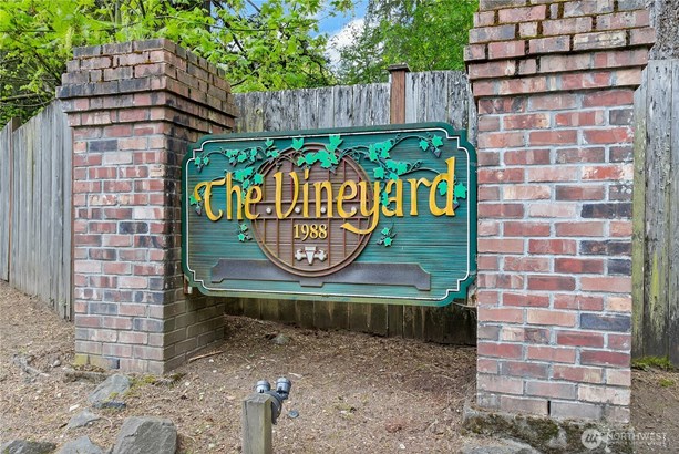 The Vineyards