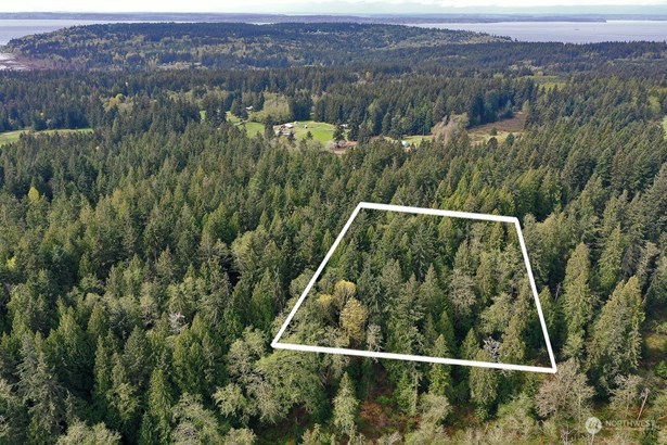 3.75 acres of lush forest - escape to your own secluded haven on Whidbey Island.