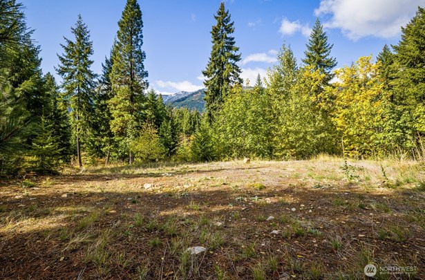Cleared Building Site