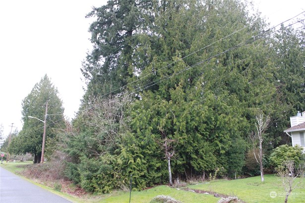 Level Lot with some mature trees!