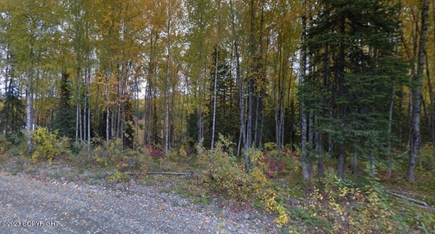 Land - Willow, AK