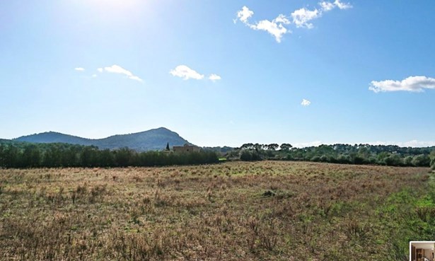 Grundstück in Algaida