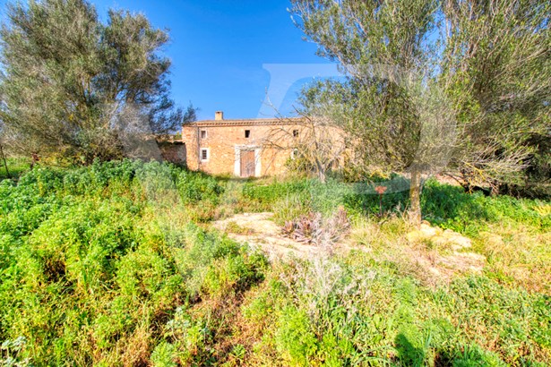 Schönes rustikales Haus zum Renovieren auf einem Grundstück von 3,8 Hektar zwischen Manacor und Calas de Mallorca