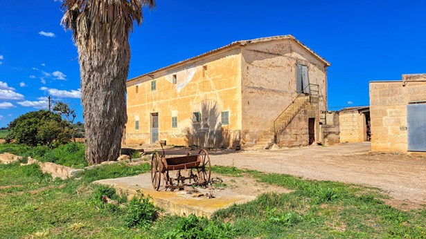 For-sale-large-finca-with-traditionalhouse-possibility-to-renovate-and-build-swimming-pool-in-Manacor