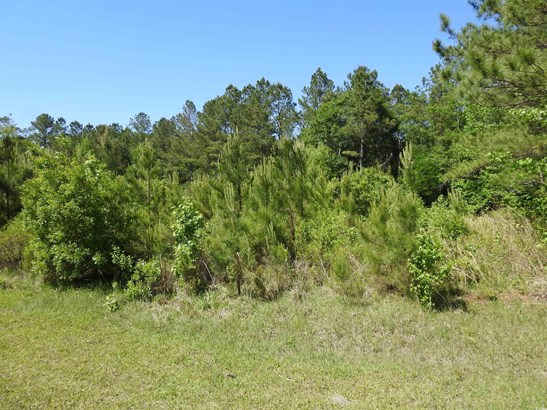 Residential Lot - Conway, SC