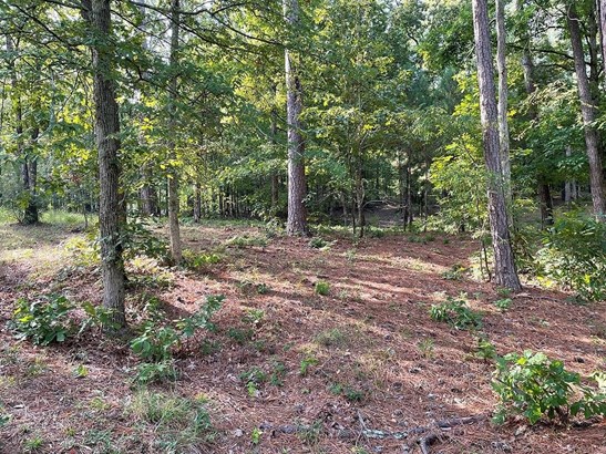 Residential/Subdivision Lot - Ninety Six, SC