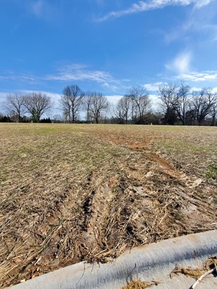 Residential Lot(s) - Springfield, MO