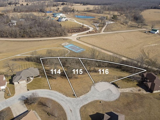 Residential Lot(s) - Rogersville, MO