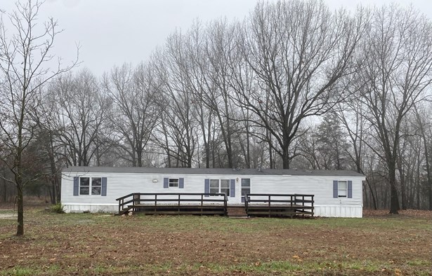 Mobile Home, 1 Story,Single Wide - Strafford, MO
