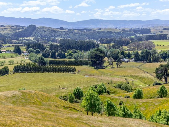 Eketahuna, New Zealand Real Estate Homes For Sale 