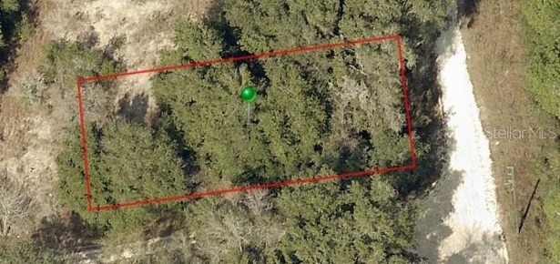 Land - INVERNESS, FL