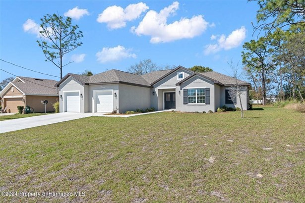 Single Family Residence, Contemporary - Spring Hill, FL