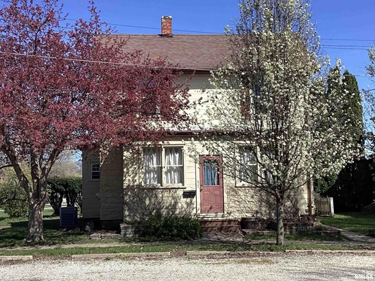 Single Family Residence, Two Story - Farmington, IL