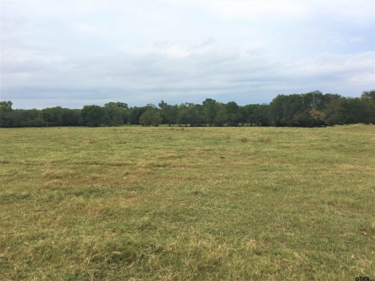 Rural Acreage - Mt Vernon, TX
