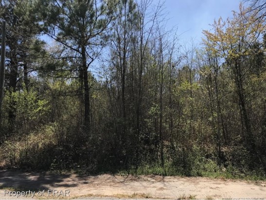 Residential Lot - Red Springs, NC