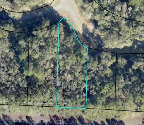 Residential Lot - Waverly, GA