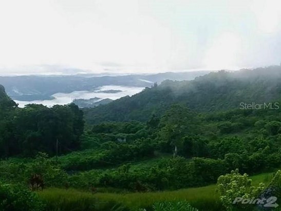 Farm - CAYEY, PR