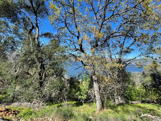 Residential Lot - Clearlake, CA