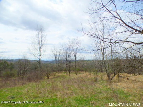 Lots and Land - Nicholson, PA