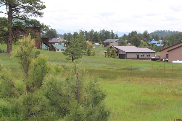 Residential - Pagosa Springs, CO
