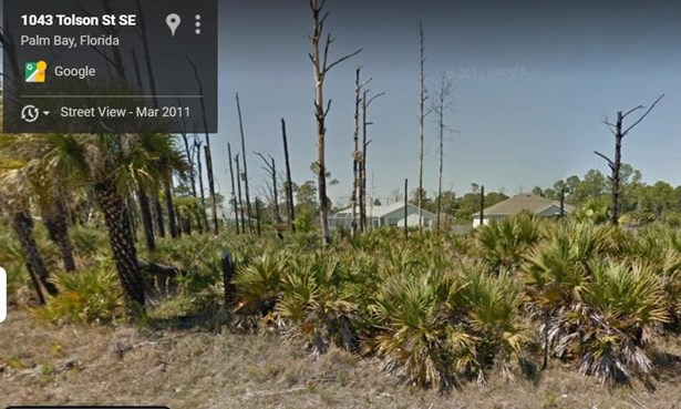 Unimproved Land - Palm Bay, FL