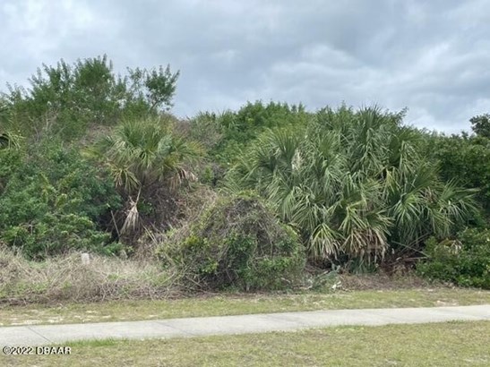 Single Family Lot - Ponce Inlet, FL