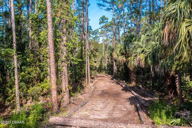 Single Family Lot - Ormond Beach, FL
