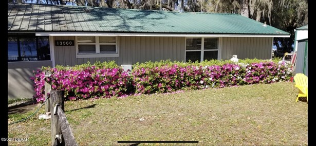 Single Family, Other - Salt Springs, FL