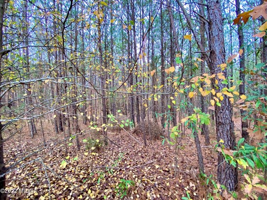 Residential Building Lot - Macon, GA
