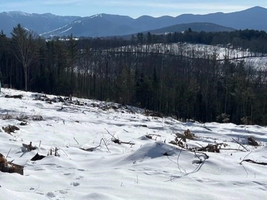 Land - Lisbon, NH