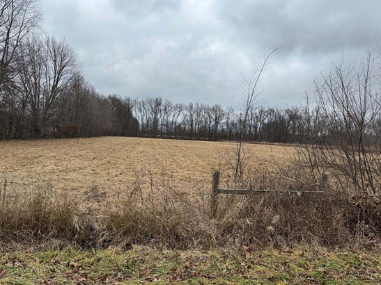 Single Family Lot - Sterling Twp, OH