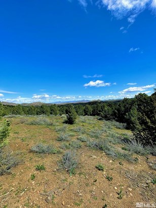 VACANT LAND - Reno, NV