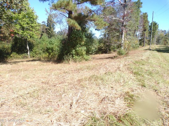 Acreage (more than 10 acres) - Florence, MS