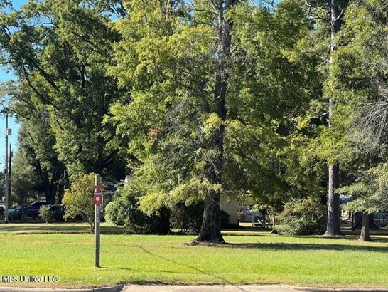 Unimproved Commercial Lot for Sale - Pearl, MS