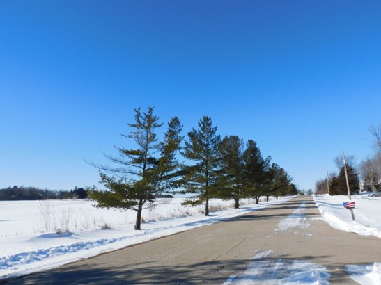 Tree Lined Road