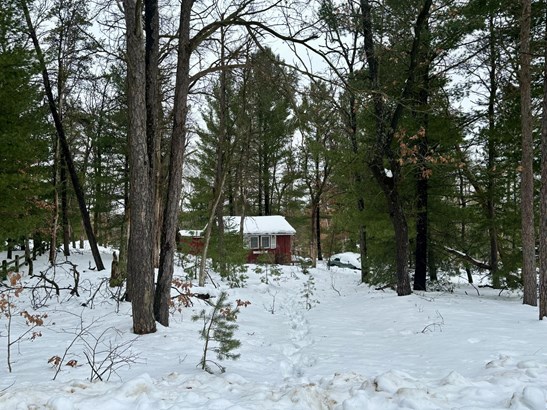 Cabin/Cottage, Single Family Residence - Harrison, MI