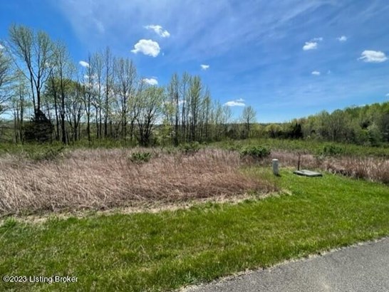 Residential Land - Falls Of Rough, KY