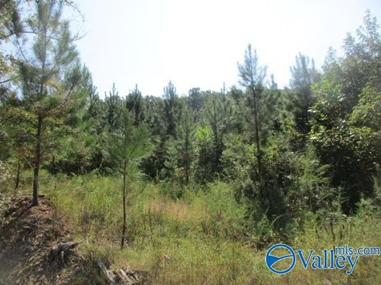 ACREAGE - Gadsden, AL