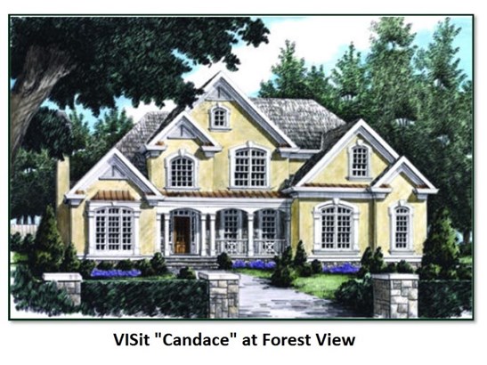 Colonial,Contemporary,Modern Architecture,Arts and Crafts,Craftsman - Single Family (photo 1)