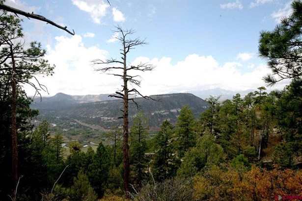 Residential - Durango, CO