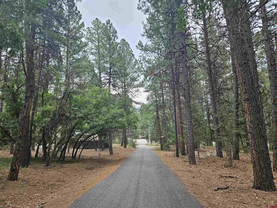 Residential - Durango, CO