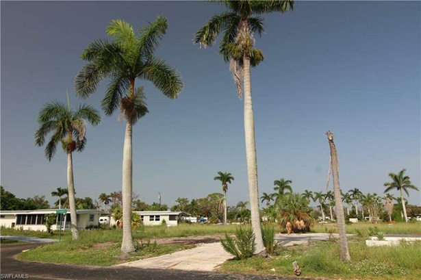 Front of property and driveway with gorgeous Royal Palms